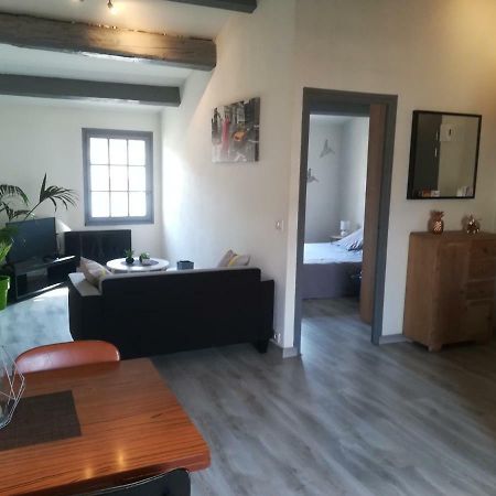 Appartement "Le Passage" 50 Passage De L'Ancien Courrier Narbonne Ngoại thất bức ảnh