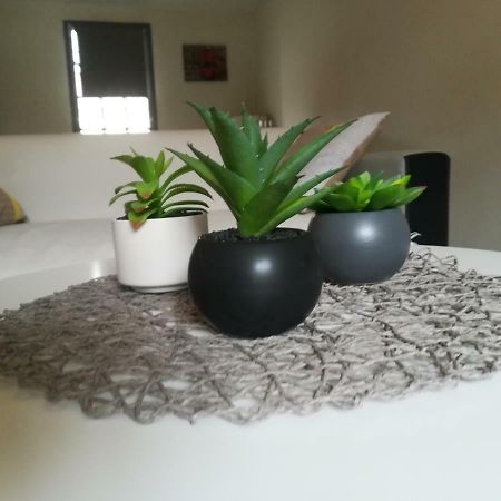 Appartement "Le Passage" 50 Passage De L'Ancien Courrier Narbonne Ngoại thất bức ảnh