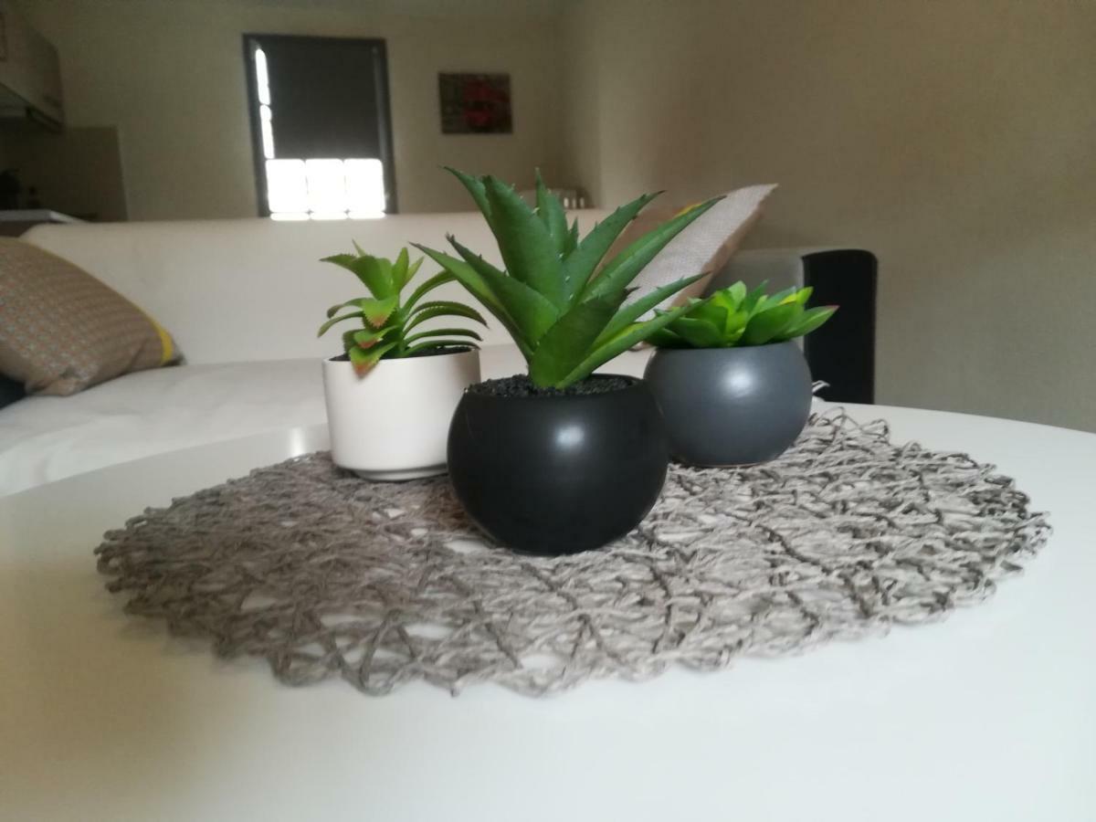 Appartement "Le Passage" 50 Passage De L'Ancien Courrier Narbonne Ngoại thất bức ảnh